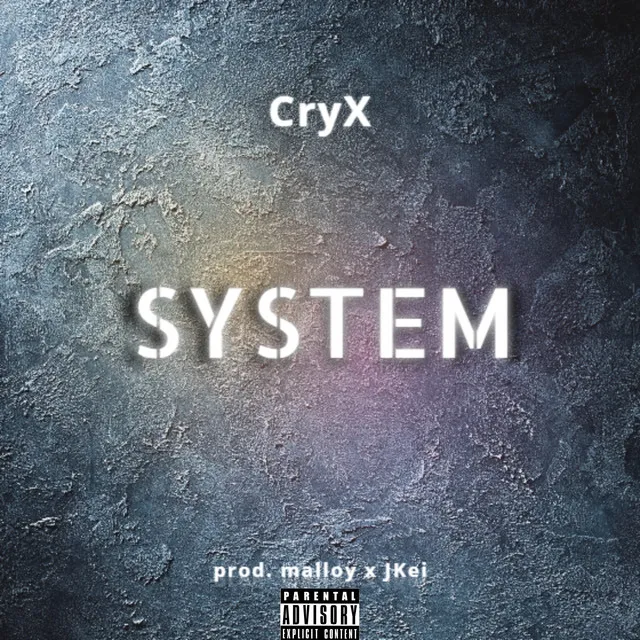 System