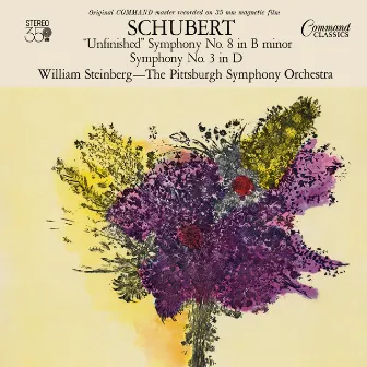 Schubert: Symphony No. 3 in D Major, D. 200: II. Allegretto by William Steinberg