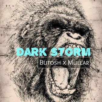 Dark Storm by Butosh