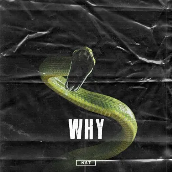 Why by anders