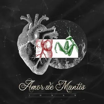 Amor de mantis by Jonan