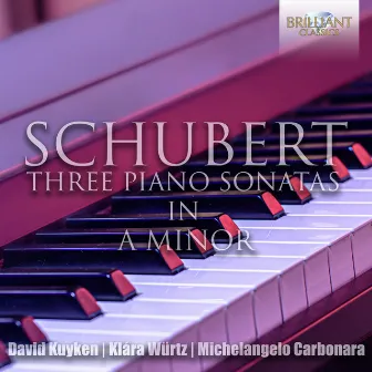 Schubert: The Three Piano Sonatas in A Minor by Michelangelo Carbonara