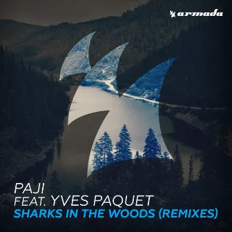 Sharks In The Woods (Remixes) by Paji