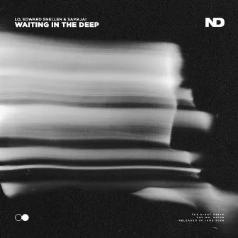 Waiting In The Deep by Edward Snellen