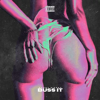 BUSS IT by Danny Sierra