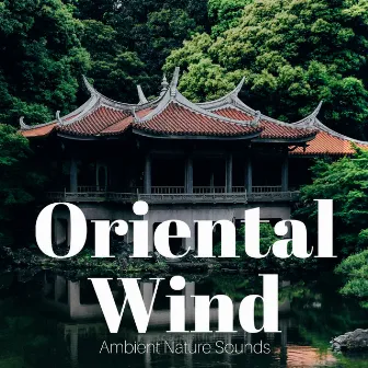 Oriental Wind: Ambient Nature Sounds, Meditation Music, Soft and Harmony Music for Serenity and Balance by Autogenic Training Specialists