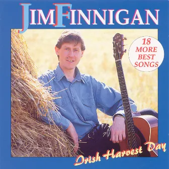 Irish Harvest Day by Jim Finnegan