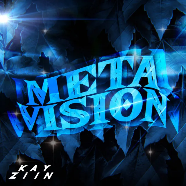 Meta Vision