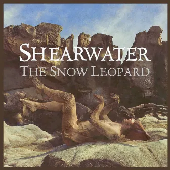 The Snow Leopard by Shearwater