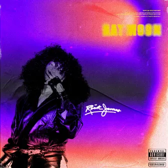 Rick James by Ray Moon