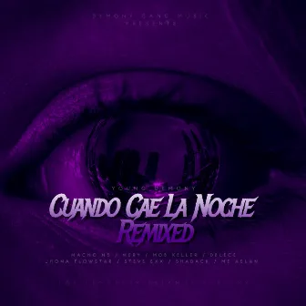 Cuando Cae la Noche (Remix) by Hoppxass