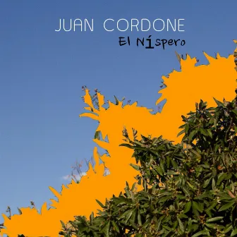 El Níspero by Juan Cordone