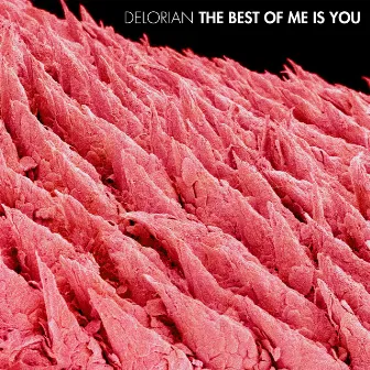 The Best of Me Is You by Delorian