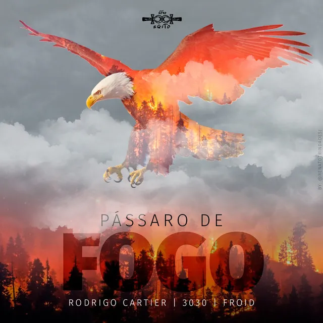 Pássaro de Fogo