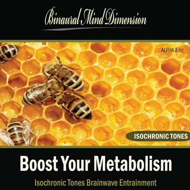 Boost Your Metabolism: Isochronic Tones Brainwave Entrainment