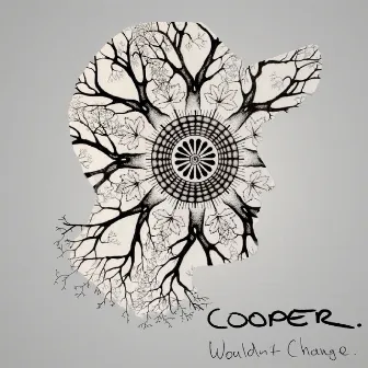 Wouldn't Change by Cooper