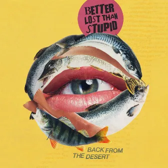 Back from the Desert by Better Lost Than Stupid