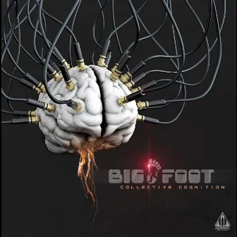 Collective Cognition by Bigfoot