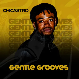 Gentle Grooves by Chicastro