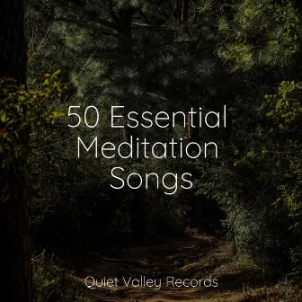 50 Essential Meditation Songs by Cascada de Lluvia