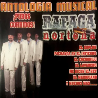 Antologia Musical Puros Corridos by Rafaga Nortena