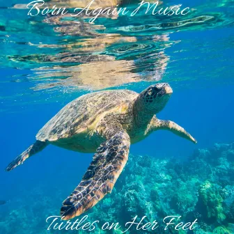 Turtles on Her Feet by Born Again