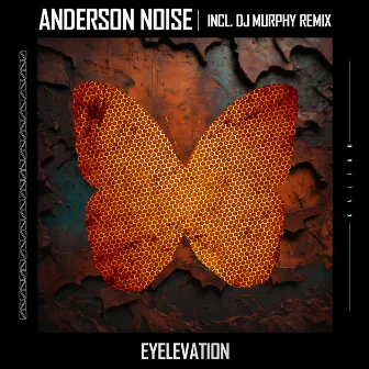 Eyelevation by Anderson Noise