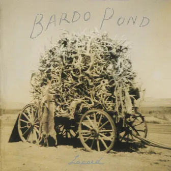 Lapsed by Bardo Pond