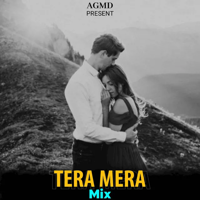 Tera Mera - Mix