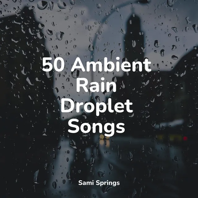 50 Ambient Rain Droplet Songs