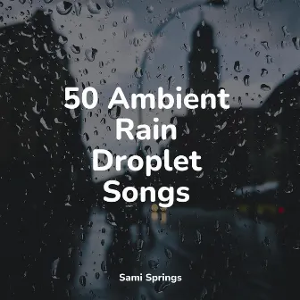 50 Ambient Rain Droplet Songs by Forest Soundscapes