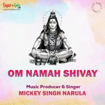 Om Namah Shivay by Mickey Singh Narula