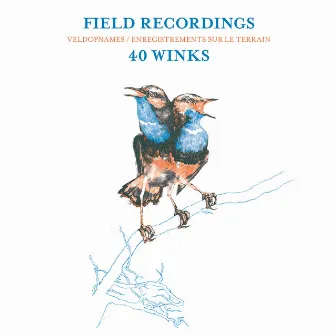 Field Recordings by 40 Winks