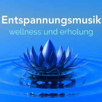 Entspannungsmusik für Wellness und Erholung - Meereswellen und Wasser Sound, Entspannungsmusik für Wellness, Massage, Yoga und Spa by Entspannungsmusik Oasis