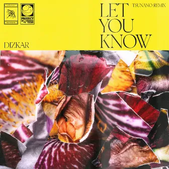 Let You Know (Tsunano Remix) by Tsunano