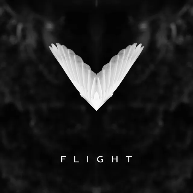 Flight