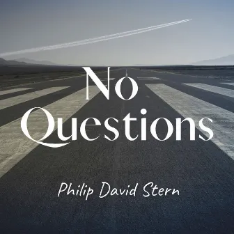 No Questions by Philip David Stern