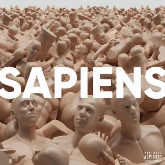 SAPIENS by L'Or du Commun