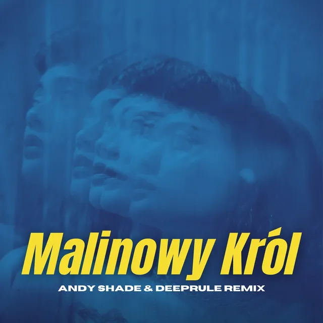 Malinowy Król (Andy Shade & Deeprule Remix)