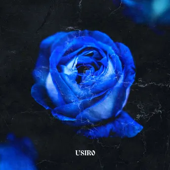 FAKE LOVE by USIRO