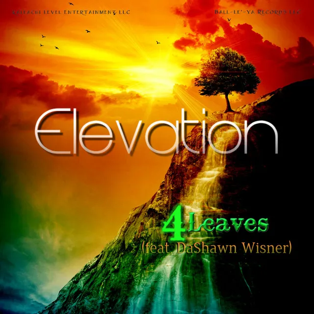 Elevation