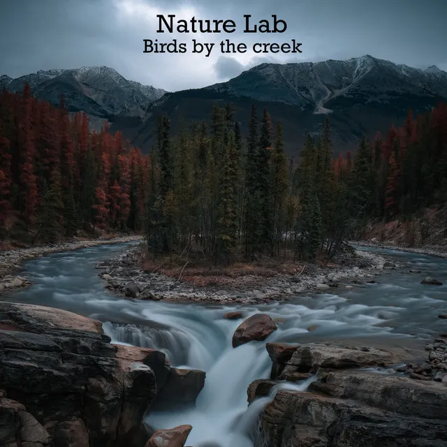 Nature Lab