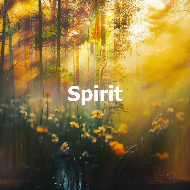 Spirit