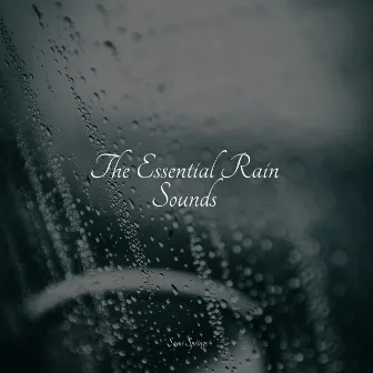 The Essential Rain Sounds by Calming Waves