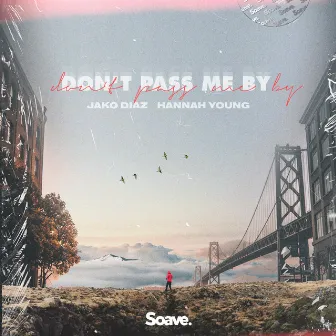 Don't Pass Me By by Hannah Young