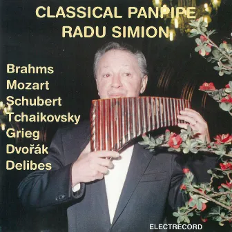 Classical panpipe by Radu Simion