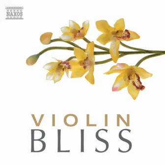 Violin Bliss by György Selmeczi