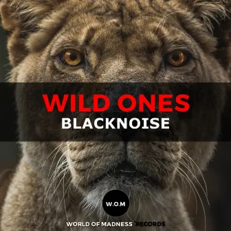 Wild Ones by Black Noise