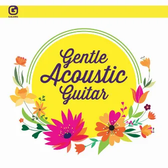 Gentle Acoustic Guitar by Jan Pham Huu Tri