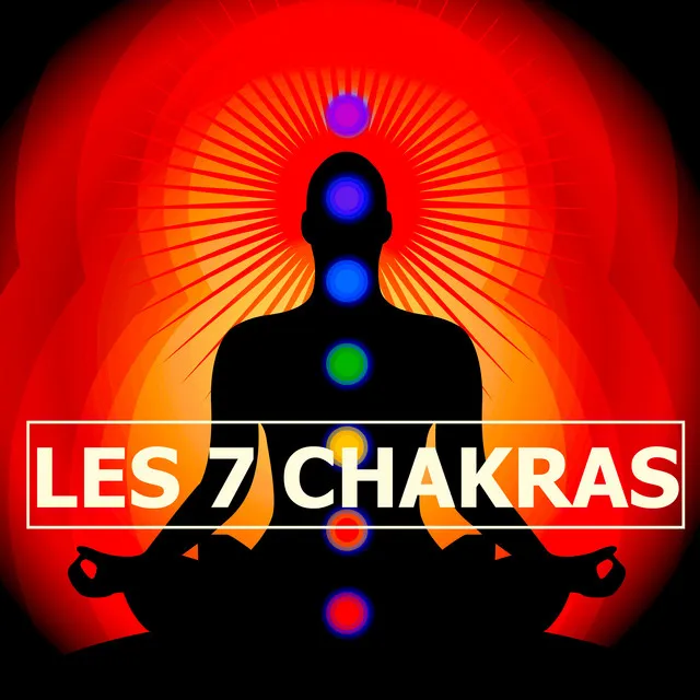 Les 7 Chakras: Chansons de Détente et Relaxation pour Yoga, Méditation Pleine Conscience, Anti Stress et Spiritualité, Chakra Racine